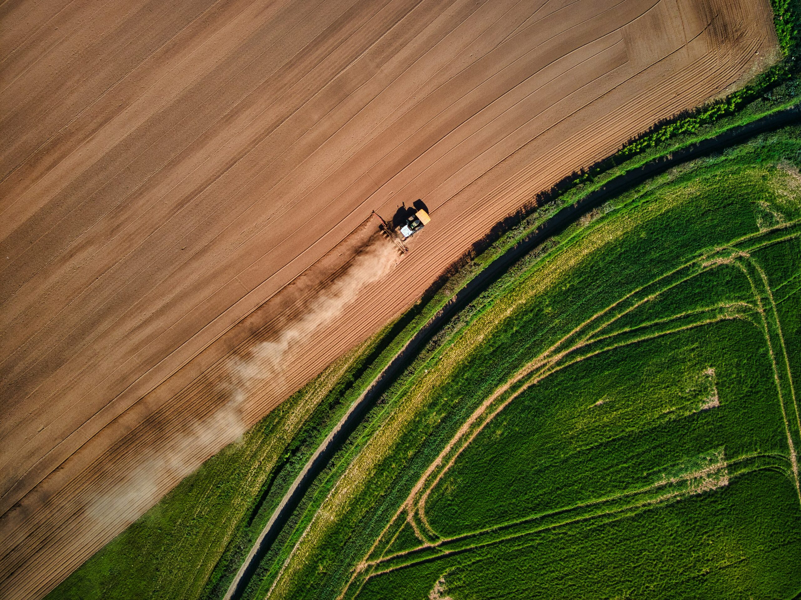 This image displays a harvest field where the agri crops commodity life cycle all started. This is also where the company gathers Indonesia agri crops update, straight from the field.