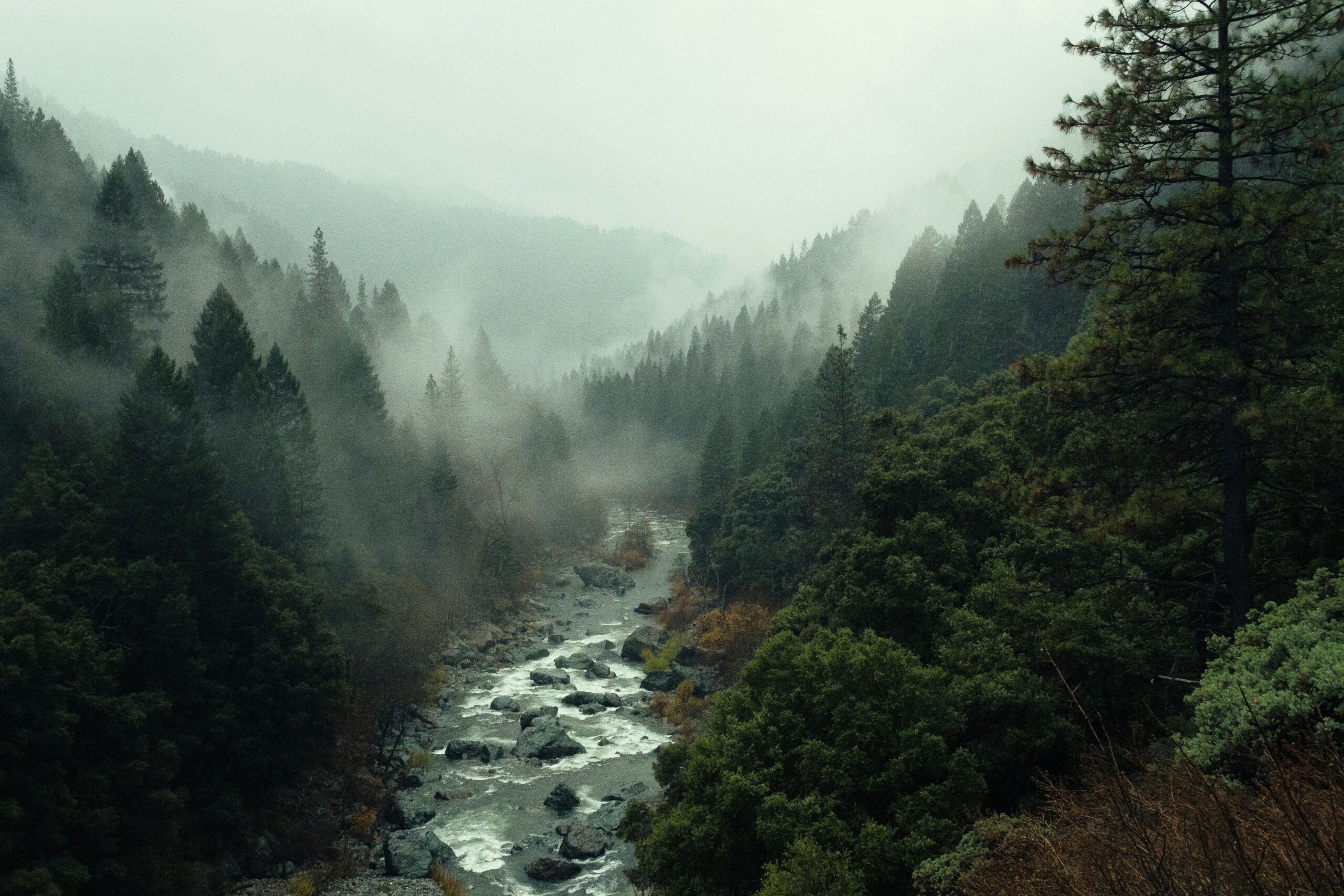 This image displays a river in the middle of a forest, resembling a fresh opportunity as becoming a trade partner with Indonesia's leading crops commodity distributor.