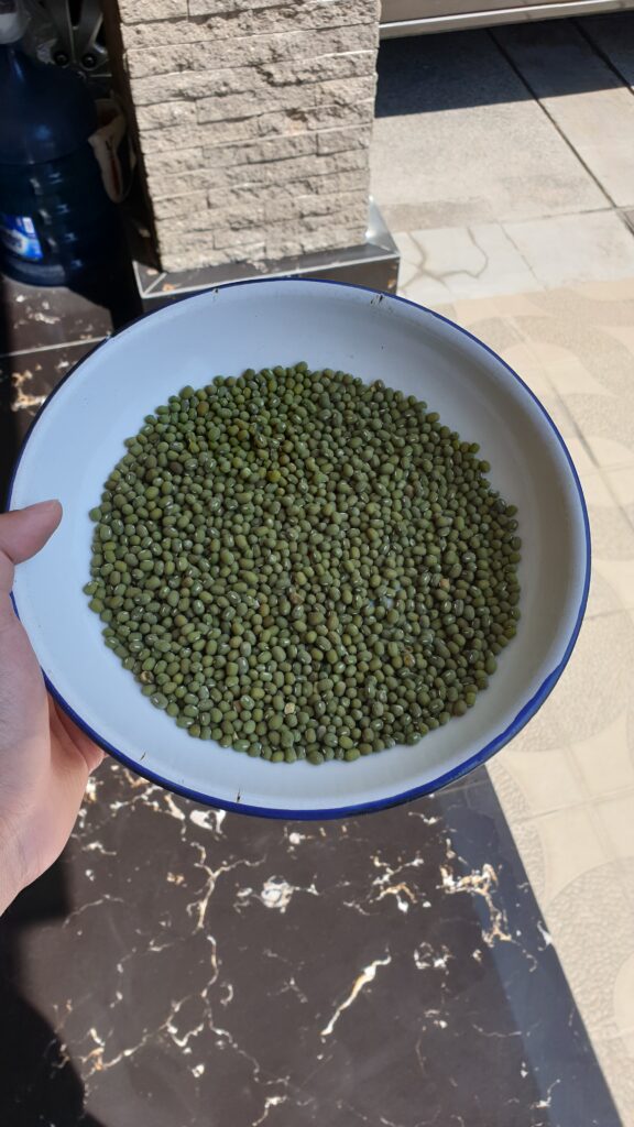 This image displays 2024 New Crop Indonesia Green Mung Bean