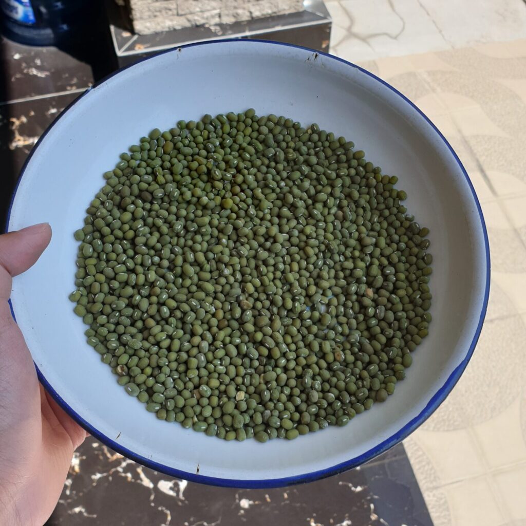 This image displays 2024 New Crop Indonesia Green Mung Bean