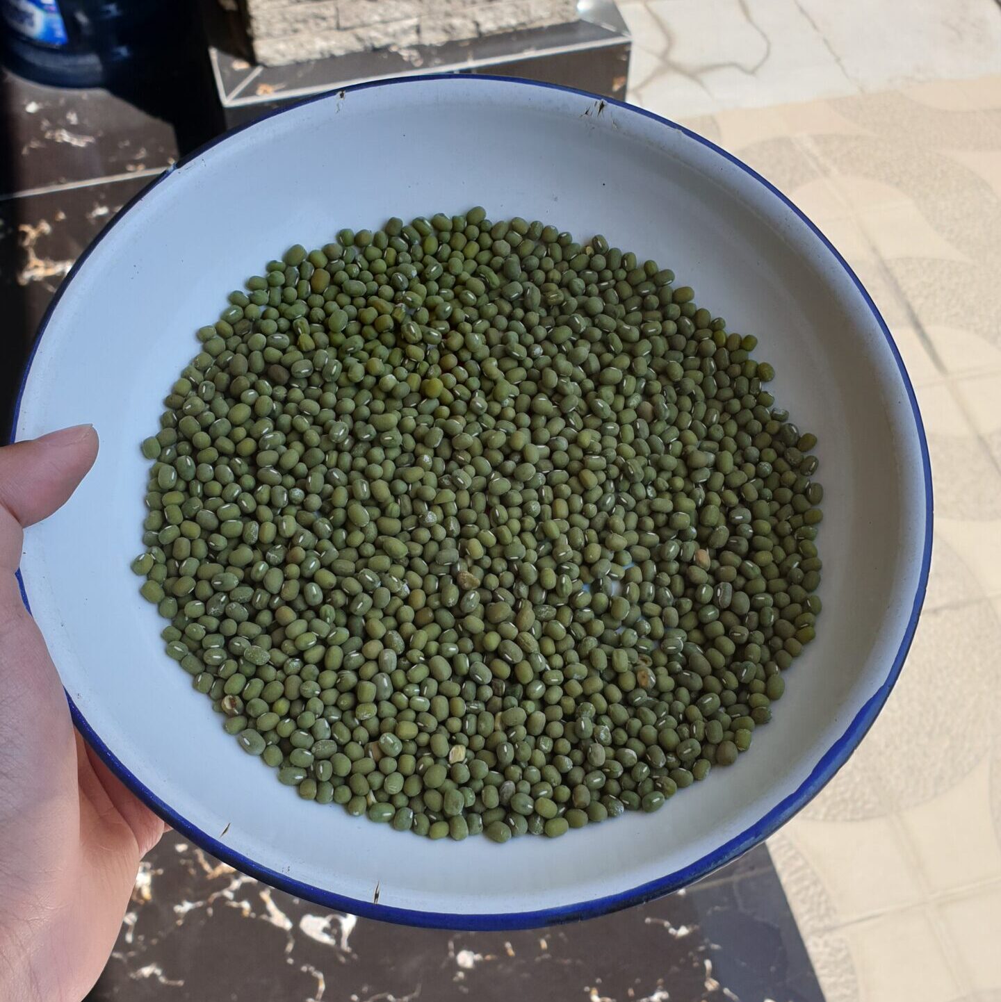 Indonesia Green Mung Bean 2024 New Crop